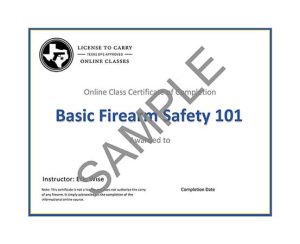 Iron Belle Defense - Basic Firearm Safety 101 Class - Certificate of Completion